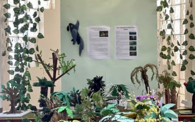 21 de março – Dia internacional das florestas – “Restauro florestal – um caminho para a recuperação e bem-estar”