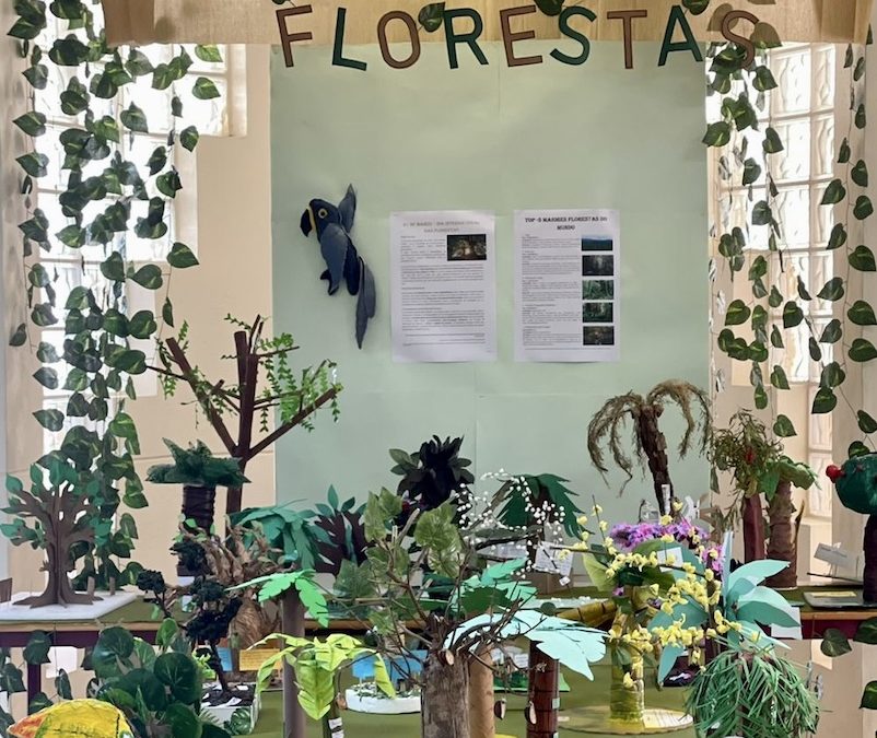 21 de março – Dia internacional das florestas – “Restauro florestal – um caminho para a recuperação e bem-estar”
