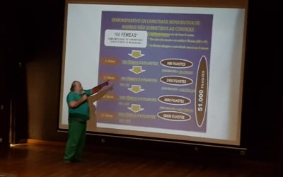 Palestra – Abandono Animal e a Importância da Adoção Responsável