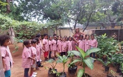 Brincando e Aprendendo com as Plantas