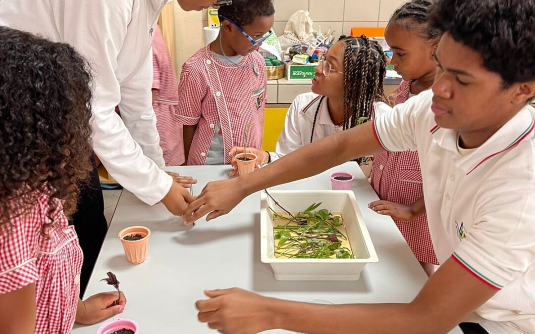 Turma do 11.º A de Biologia e Geologia Promove Atividade Educativa de Técnicas de Reprodução de Plantas em Parceria com a Educação Pré-escolar