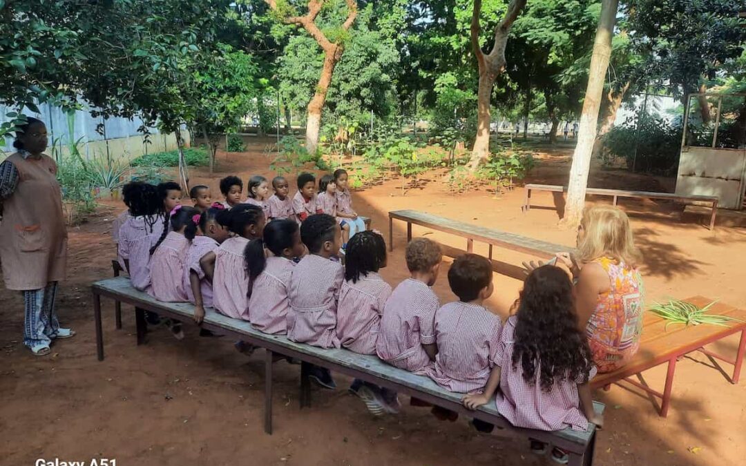 A nossa Escola também é verde