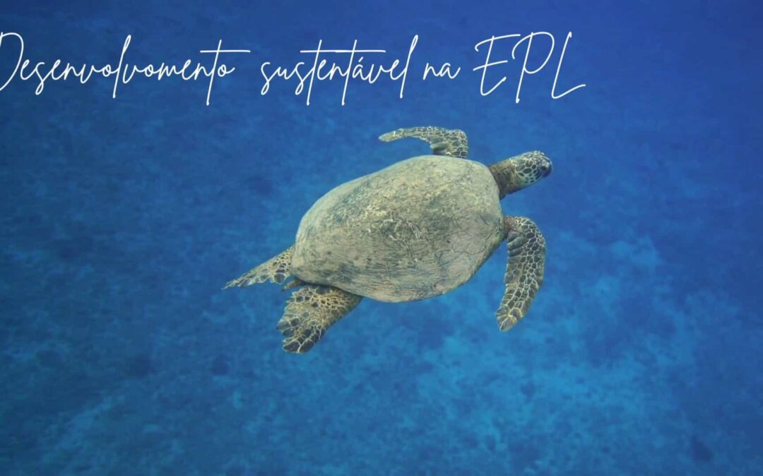 Alunas do 12.º ano de Biologia entrevistam professora sobre preservação dos oceanos no projeto Escola Azul