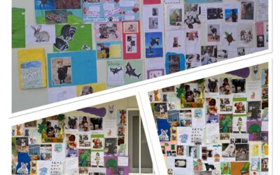 Dia Mundial dos Animais