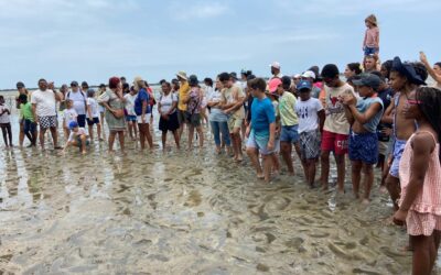 Campanha de Reflorestação dos Mangais: Educação e Ação Ambiental em Comunidade