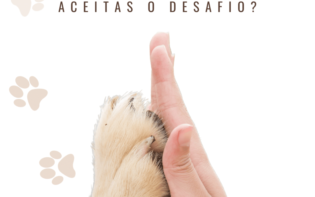 Bem-estar animal | Campanha de sensibilização 1.º e 2.º ciclos