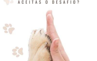 Bem-estar animal | Campanha de sensibilização 1.º e 2.º ciclos