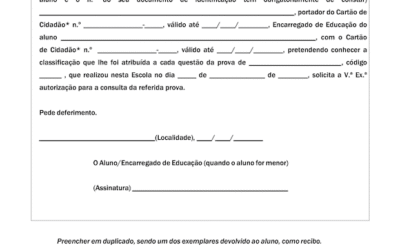 Modelo 09 – Requerimento para consulta da prova
